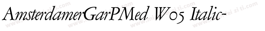 AmsterdamerGarPMed W05 Italic字体转换
